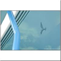 Orleans Citadis 2012-07-10.jpg